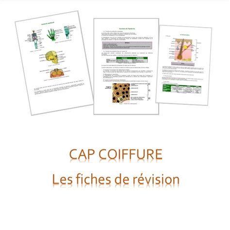 Biologie En Cap Coiffure Les Fiches De R Vision