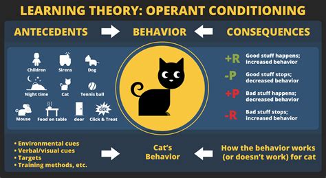 Reinforcers Have Innate Reinforcing Qualities 5