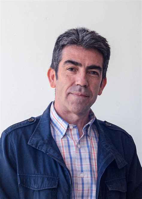 Miel, el dulce elixir de las abejas que sorprende al mundo por sus