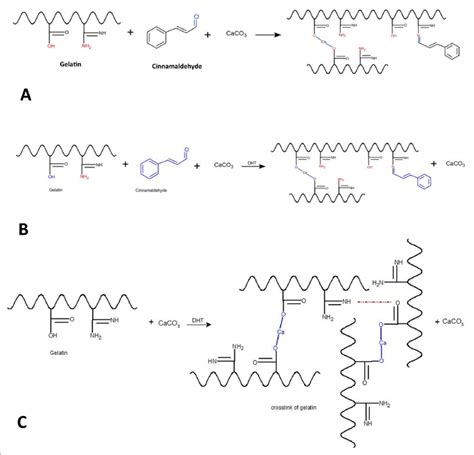 Schematic Reaction In A Hydrogel Loaded With Cinnamaldehyde B