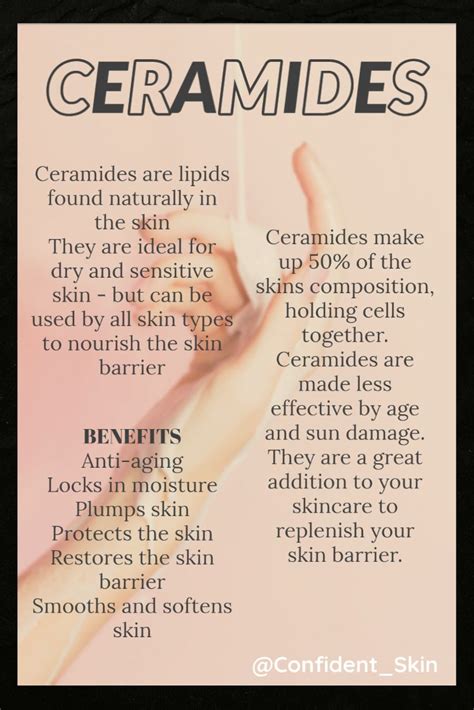 Ceramides Skin Facts Basic Skin Care Routine Skin Advice