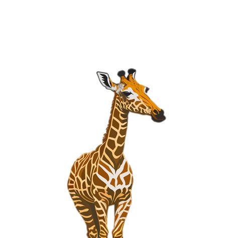isolated giraffe clipart giraffe illustration  transparent