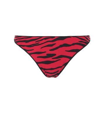 Curve Zebra Print Bikini Bottoms In Red Tropic Of C Mytheresa