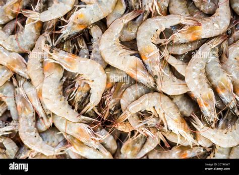 Fish For Sale In Mapusa Market Goa India Stock Photo Alamy