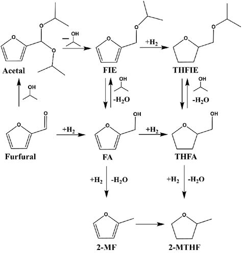 Scheme Possible Reaction Pathways Of Furfural Hydrogenation