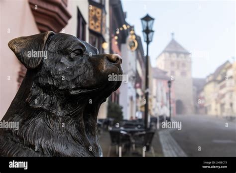 Rottweil Germany 09th Nov 2021 A Statue Of A Rottweiler Stands In