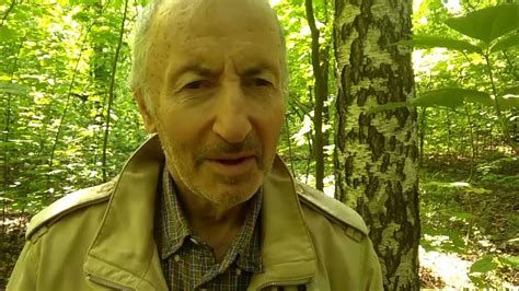 Французская поэзия. Поль Верлен. Песня без слов. Читает Илья Дразнин ...