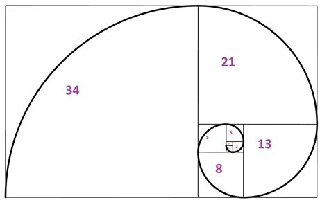 Learn Travel Art The Fibonacci Fiesta