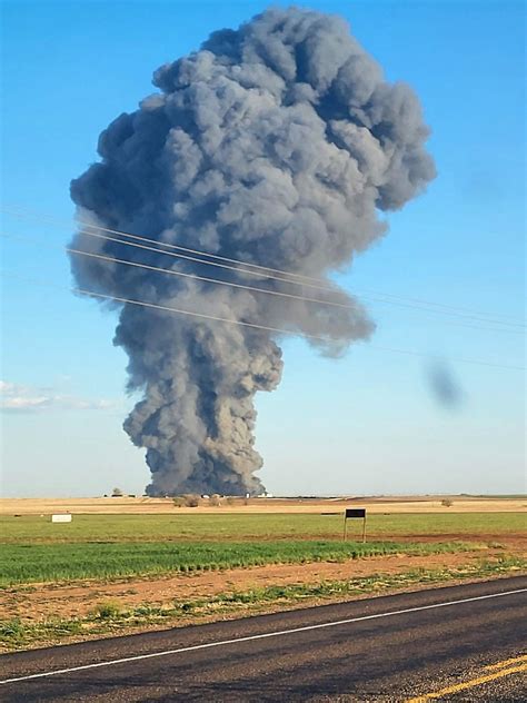 rinder nach explosion  texas getotet newsorfat