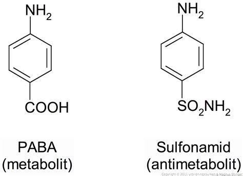 Antibiotika med effekt på cellmembranet och nukleinsyra­syntesen ...