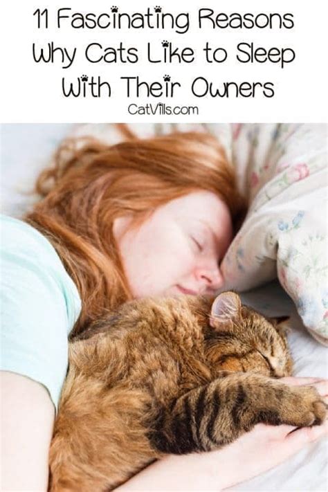 Why Do Cats Like to Sleep With Their Owners? 11 Reasons