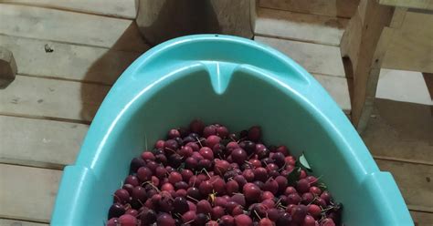 Сидр на отвяжись | Пикабу