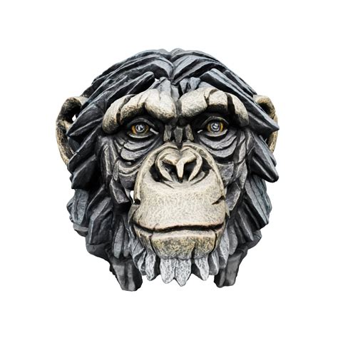 Edge Sculpture Chimpanzee Bust By Matt Buckley Artworx Gallery