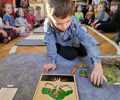 Święto Drzewa w grupie VI Przedszkole Montessori Przedszkolak na