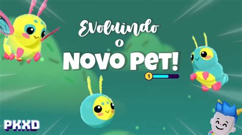 Pk Xd Evoluindo O Novo Pet Mariposa Festiva Youtube