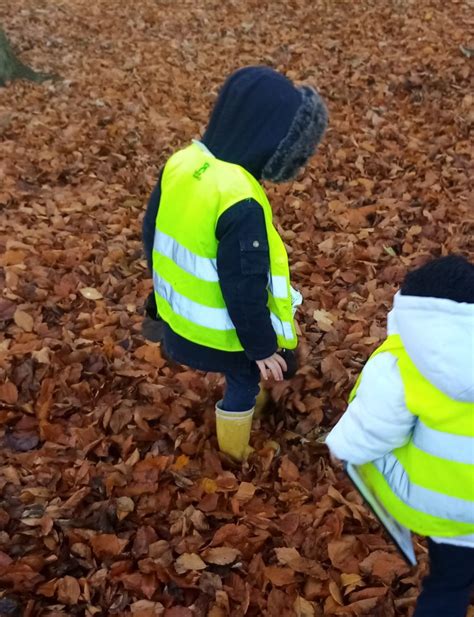 Creative Nature Art Projects Using Earth’s Gifts – Fresh Air Teacher