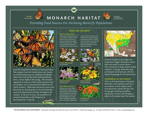 Pdns Monarch Butterfly Migration Life Cycle Milkweed Pollinator Garden