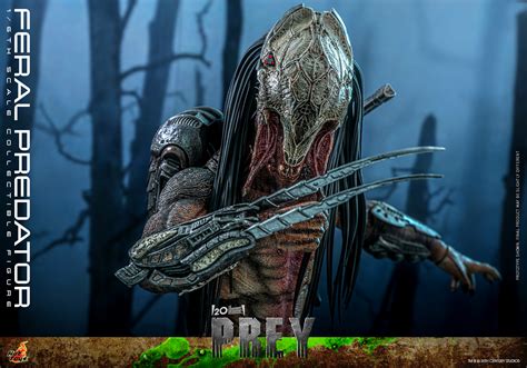 Prey Feral Predator Figure By Hot Toys The Toyark News
