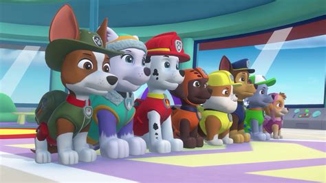 paw patrol mighty pups save adventure bay  steam
