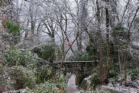 Snow At Overton Park 2 Photograph By Lacena Borders Fine Art America