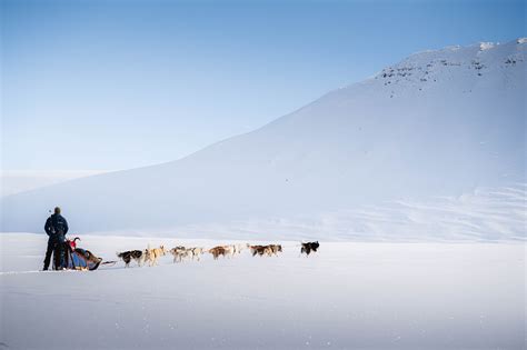 Dog sledding | Expedition | Svalbard | Basecamp Explorer
