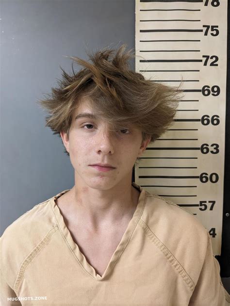 Gross Sawyer Evans Covington County Mugshots Zone