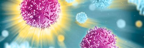 jazz pharmaceuticals  annualreportscom