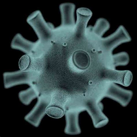 Viruses Under Electron Microscope