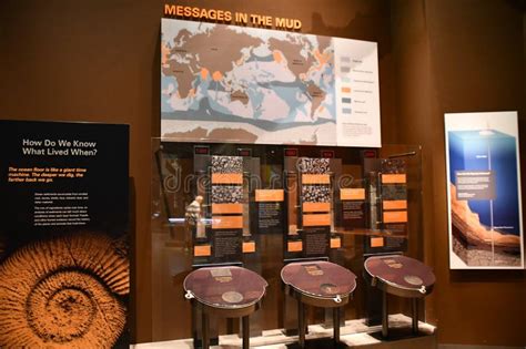 Smithsonian National Museum Of Natural History In Washington Dc