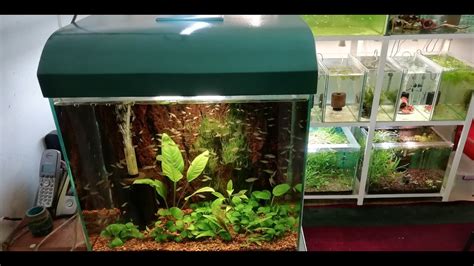 Аквариумная крышка из ПВХ часть вторая своими руками - YouTube