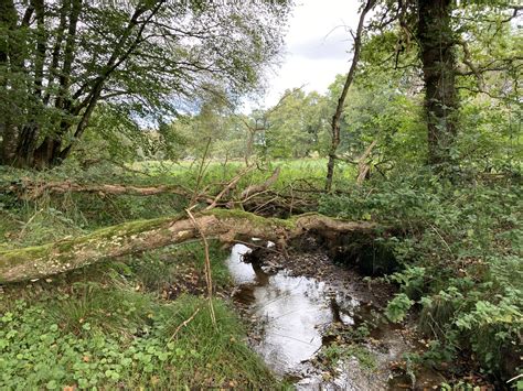 La Trinit Langonnet Territoires De Faune Sauvage