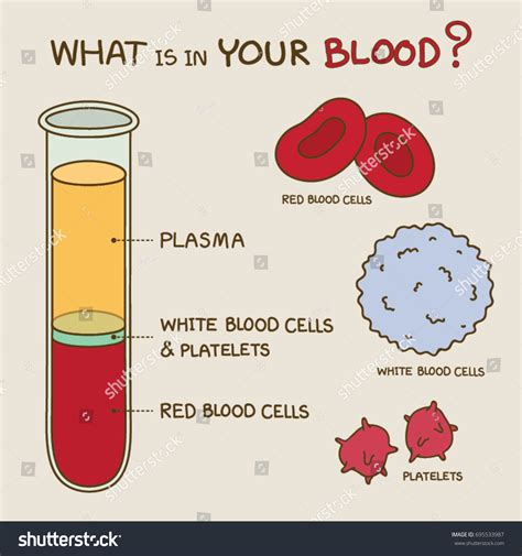 523 vectores de Blood component - Vectores, imágenes y arte vectorial ...