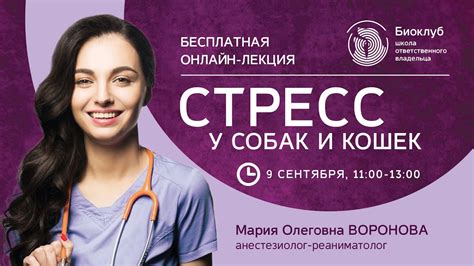 Стресс у собак и кошек - YouTube