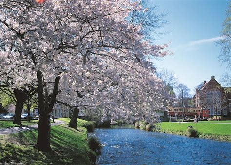 visit christchurch   trip   zealand audley travel