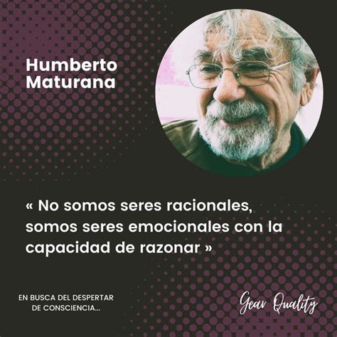 Humberto Maturana Movie Posters Poster Movies