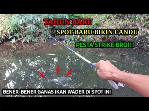 Edan Tahun Baru Coba Spot Baru Tak Di Sangka Seganas Ini Sambaran Ikan