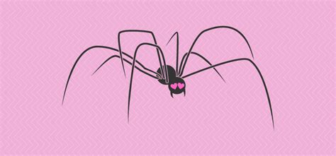Taking Risky Sex To The Extreme Male Spiders Sacrifice Legs To