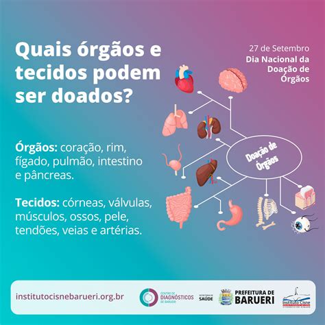 Quais Orgãos Podem Ser Doados