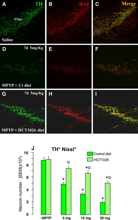 Hct1026 Preventive Administration Inhibits Mptp Induced Dose Dependent Download Scientific