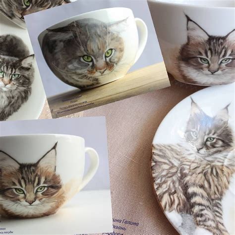 four different pictures of cats in coffee cups