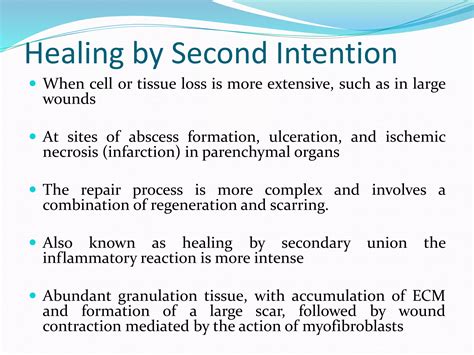 wound healing