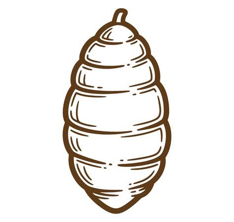 Isolated illustration of a brown pupal cocoon stage of insect