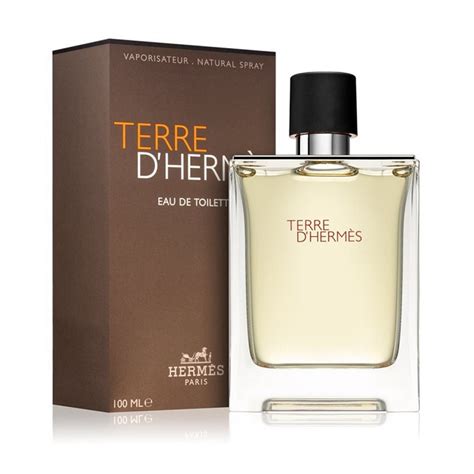Hermes Terre d Hermes EDT 100ml – Perfume Lounge