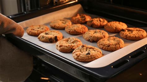 types  wheat flour      lifehacker