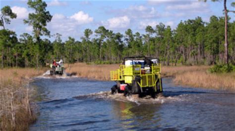 A National Preserve One Land Many Uses Big Cypress National