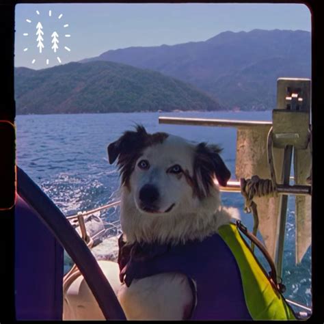 Goth Babe Mexico HAPPENS