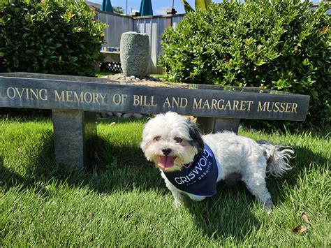 A Day to Remember Tournament - Wilmington