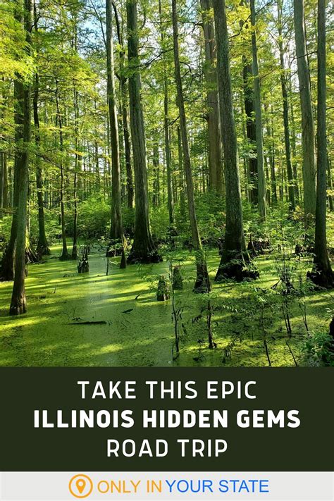 Hit The Road To See These Hidden Gems In Illinois | Road trip, Trip
