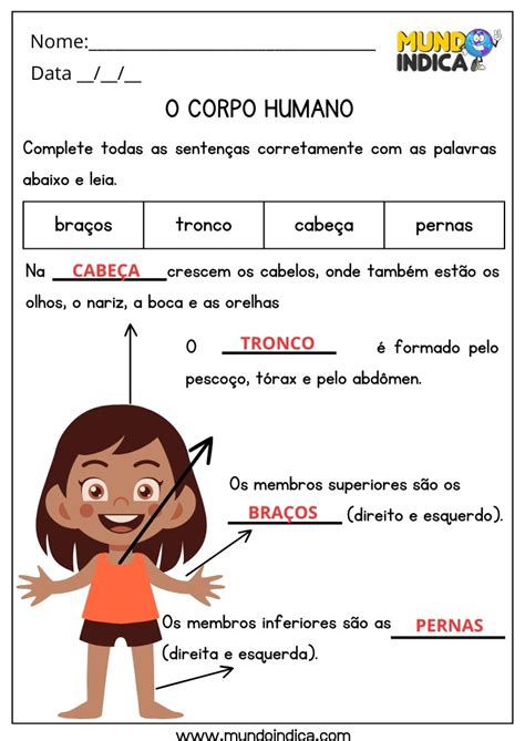 Atividades De Ciências Para O 1o Ano Do Ensino Fundamental - 20 Atividades de Ciências para 1 ano Ensino Fundamental com Respostas