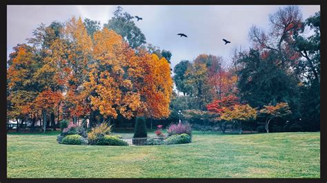 I Colori Dell Autunno A Cremona